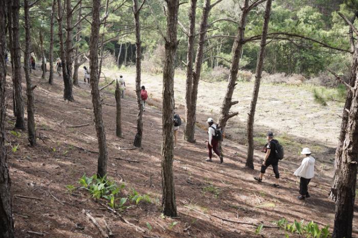 Hiking Và Trekking Khác Nhau Thế Nào? Cách Phân Biệt Cho Người Mới